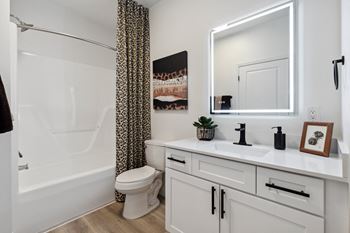 a bathroom with a white sink and a toilet and a shower